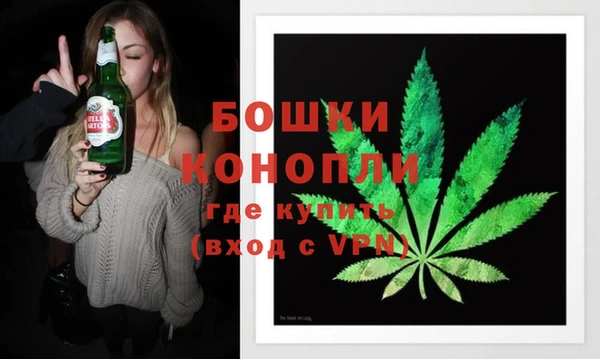 стаф Богородск