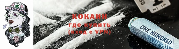 стаф Богородск