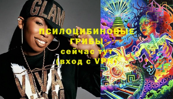 соль ск Богородицк