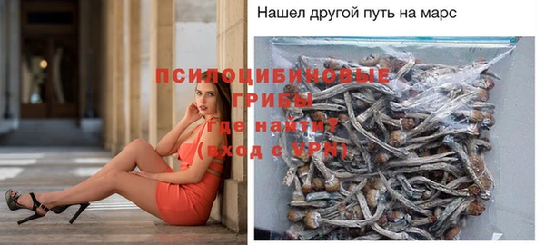 соль ск Богородицк
