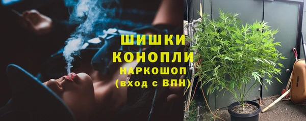 стаф Богородск